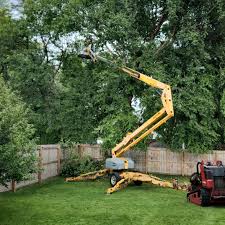 Best Pest Control for Lawns  in Arnold, CA