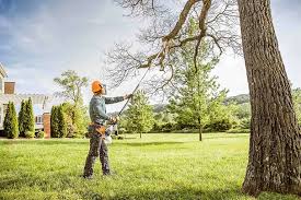 Best Emergency Tree Removal  in Arnold, CA